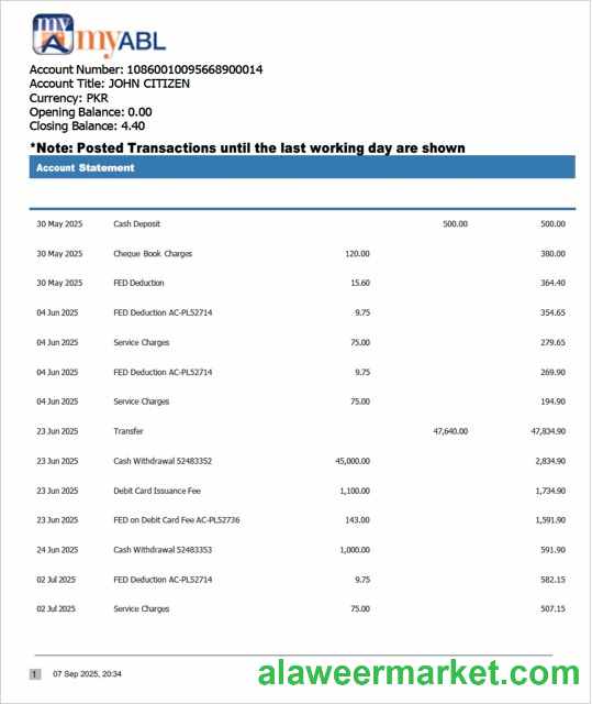 Pakistan Myabl account statement Word and PDF template